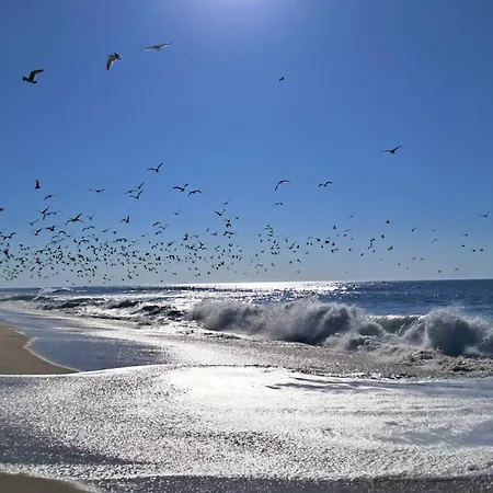 カントリーハウス Casa Lagoa