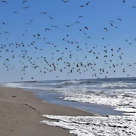 Casa Lagoa カントリーハウス エスモリス