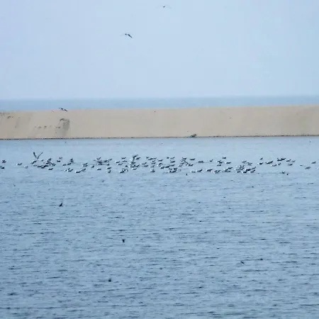 Летний дом Casa Lagoa Эшмориш