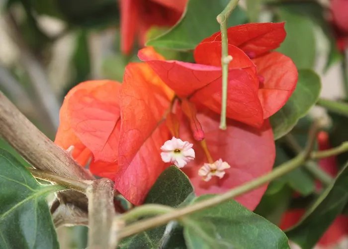 Casa Lagoa カントリーハウス *