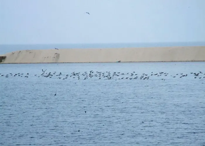 カントリーハウス Casa Lagoa エスモリス
