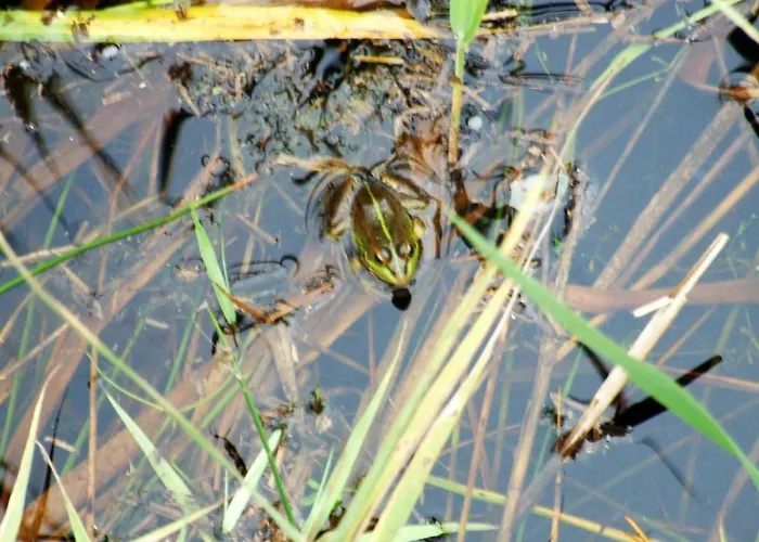 カントリーハウス Casa Lagoa エスモリス
