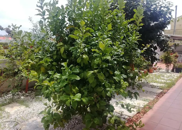 Casa Lagoa カントリーハウス