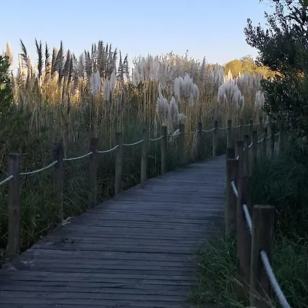 Casa Lagoa 乡村民宿