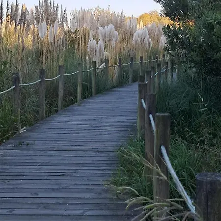 乡村民宿 Casa Lagoa 伊斯莫里兹