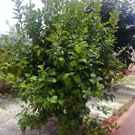 Casa Lagoa منزل ريفي
