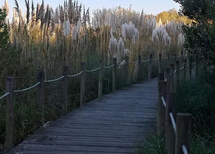 Casa Lagoa Country house