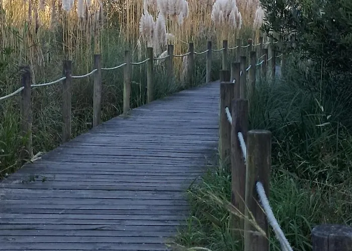 Country house Casa Lagoa Esmoriz