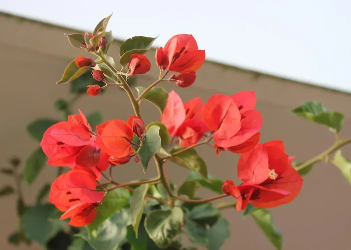 Country house Casa Lagoa