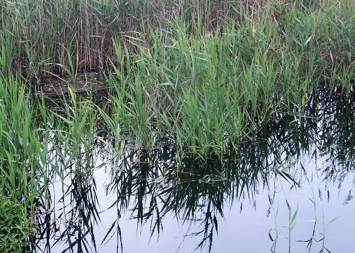 Country house Casa Lagoa *