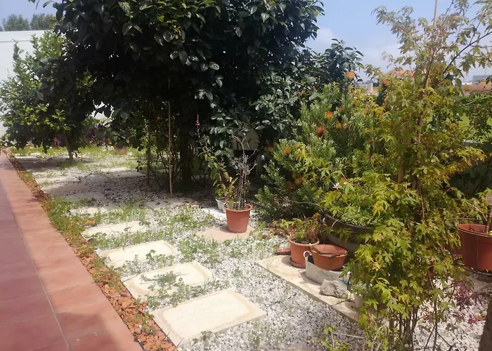 Casa Lagoa Country house Esmoriz